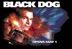 blackdog.gif (11507 bytes)