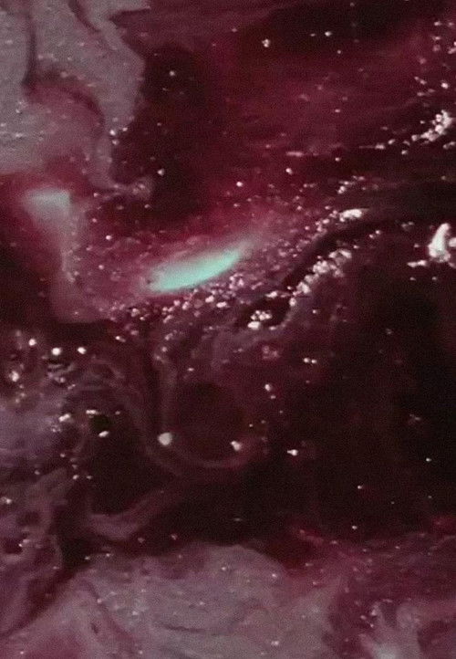 Scene from Richmond Study 2 - Monument Avenue